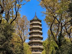 -灵谷景区