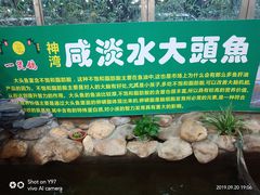 -一煲鸽