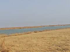 -盐城丹顶鹤湿地生态旅游区