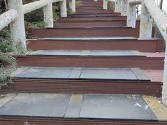 -五龙城郊森林公园