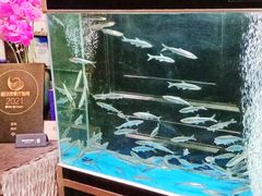 -翠府(翠湖北路店)