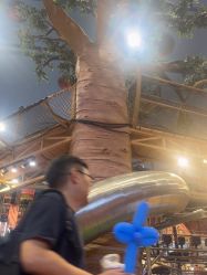 -卡通尼·Safari非洲探索乐园·生日会(金桥国际商业广场店)