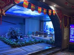 -陆琴脚艺·足浴·SPA(夫子庙店)