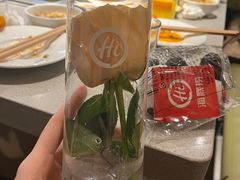 -海底捞火锅(丰尚国际广场店)