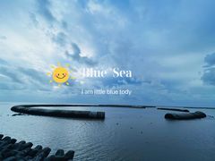 -南汇嘴观海公园