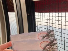 -灵顺寺
