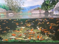 -常州海昌海洋探索馆