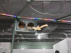 -上海大自然野生昆虫馆(东方明珠·爬宠昆虫探索中心)