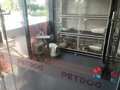 -牧马人宠物医院