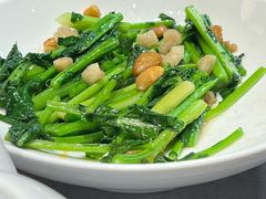 板蓝根-新渝城·始于2000年(淘金店)