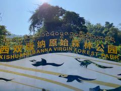 门面-西双版纳原始森林公园