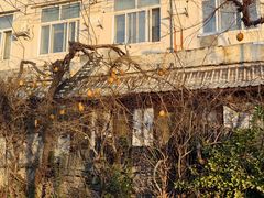 -斯多格书乡(北京大学畅春园店)