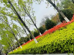 -莲湖公园