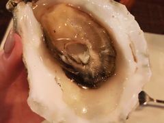 -斯普汇生蚝牛排馆(中骏世界城店)
