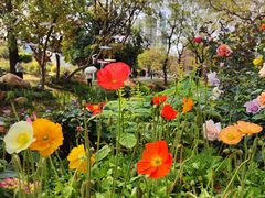 -人民公园(罗湖区)