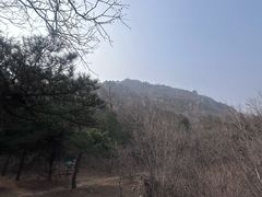 -北京鹫峰国家森林公园