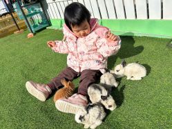 -萌宠亲子动物乐园(槐房万达店)