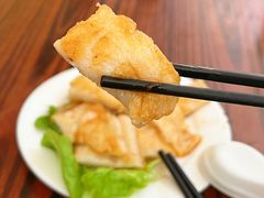 -蒂蒂香達濠魚丸