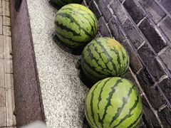 -状元阁烧烤(新华路总店)