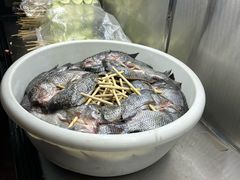 -杨合林啊兰烤鱼
