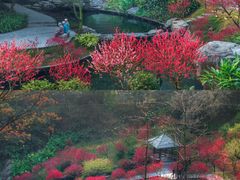 -桃花涧