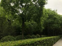 -唐城墙遗址公园