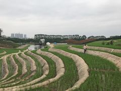 -迪茵湖田家舍生态农场