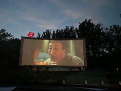 -枫花园汽车电影院(朝阳公园店)