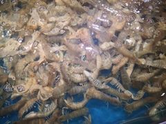 -盒马鲜生(红莲店)