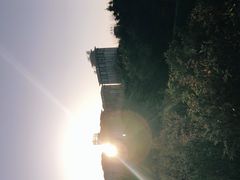 -洛阳市隋唐城遗址植物园