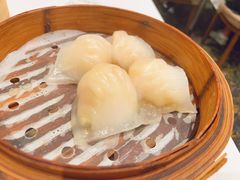 稻香鲜虾饺-稻香酒家(天河城店)