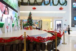 -安利上海体验馆