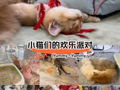 -万达广场(大明宫店)