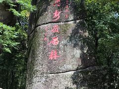 -汤旺河林海奇石景区