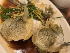 清蒸太阳鱼-大唐靓汤江门私房菜(景田店)
