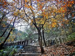 -北京西山国家森林公园