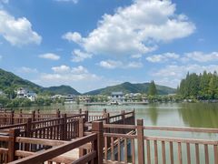 -黄贤森林公园