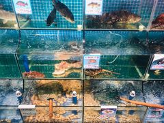 水产区-范饭椰林川湘味海鲜·椰子鸡(三亚湾椰梦长廊店)