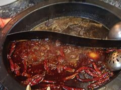 -蜀大侠火锅(建设路第五大道店)