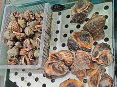 -渔码头食府·20年蓬莱老字号(登州路店)