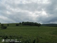 -塞罕坝国家级自然保护区