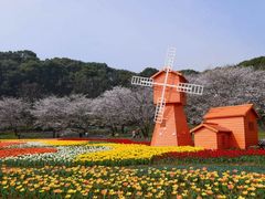 -苏州上方山国家森林公园