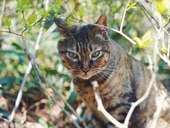 -苏州河梦清园环保主题公园