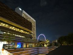 -新加坡文华东方酒店