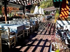 -Local泰莲庭(虹鳟鱼店)