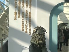 -凤凰中心