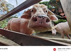 -海南热带野生动植物园