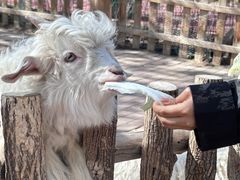 -水上乐园·欢乐世界