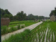 -北坞公园