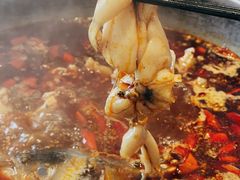 -销魂美蛙鱼头火锅(上海首店)